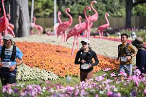 BIB: 
                            <button type="button" onclick="openModal(27793471)" class="btn btn-primary btn-sm float-right btn-popup" data-toggle="modal" data-target=".modal-high-quality">
                        <i class="fas fa-shopping-cart"></i> Add to Cart
                    </button>
                                            <button type="button" onclick="isThisMe(27793471, true)" class="btn btn-success btn-sm float-right btn-popup btn-isme hidden" data-toggle="tooltip" data-placement="bottom" title="นี่คือรูปของคุณใช่ไหม คลิกที่นี่เพื่อเอาเข้าอัลบั้ม">
                        <i class="fas fa-plus"></i> Add to album
                    </button>
                    <button type="button" onclick="isThisMe(27793471, false)" class="btn btn-warning btn-sm float-right btn-popup btn-isnotme hidden">
                        <i class="fas fa-ban"></i> Remove from album
                    </button>